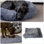 Turning Memories into Art: The Magic of Custom Dog Portraits