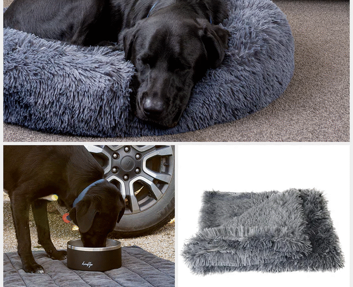 Turning Memories into Art: The Magic of Custom Dog Portraits