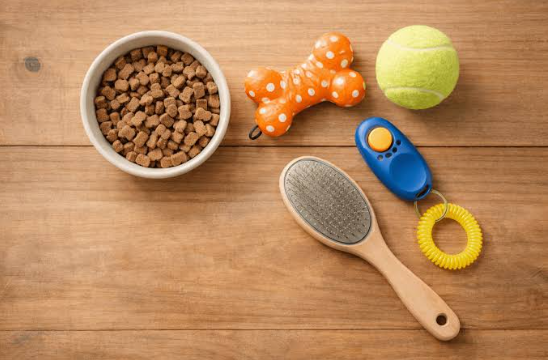 What Training Surfaces Reveal About Canine Reward Habits