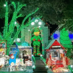 Why North Dallas Lawns Struggle to Keep Festive Displays Looking Sharp Through Winter